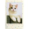 Fujifilm Instax Mini Sprinkles Film – 10 Exposures(mini)