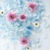 Fujifilm XF50mmF1.0 R WR