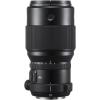 Fujinon GF250mmF4 R LM OIS WR